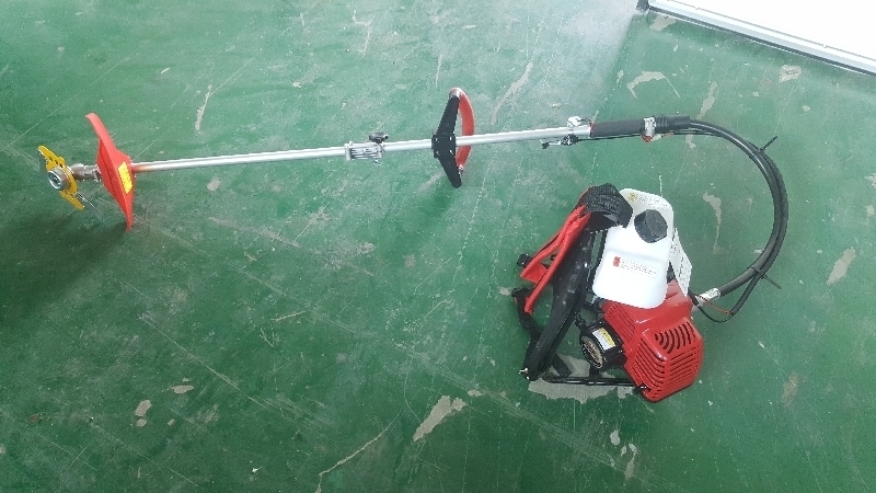 ���¿���� 2024-01